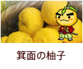 箕面の柚子