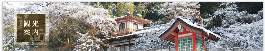 観光案内