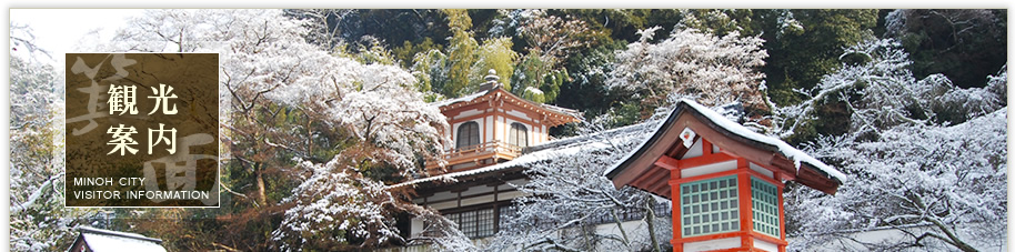 観光案内