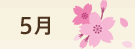 5月