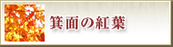 箕面の紅葉