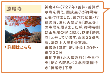 勝尾寺　神亀4年（727年）善仲・善算が草庵を構え、開成皇子が弥勒寺と名付けました。第六代座主・行巡の時、清和天皇から「勝王寺」の寺号を賜りましたが、弥勒寺側は王を尾の字に控え、以来「勝尾寺」と号しています。西国23番札所、法然上人第5番霊場。●阪急「箕面」駅、徒歩120分・車で20分●地下鉄（北大阪急行）「千里中央」駅から阪急バス北摂霊園行き「勝尾寺」下車　詳細はこちら