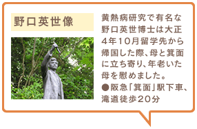 野口英世像　黄熱病研究で有名な野口英世博士は大正4年10月留学先から帰国した際、母と箕面に立ち寄り、年老いた母を慰めました。●阪急「箕面」駅下車、滝道徒歩20分