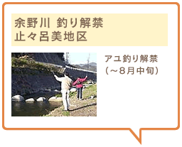 余野川 釣り解禁　止々呂美地区　アユ釣り解禁（～8月中旬）