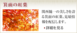 箕面の紅葉 関西随一の美しさを誇る箕面の紅葉。見頃情報を配信します。