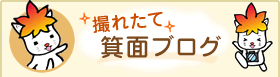 撮れたて箕面ブログ