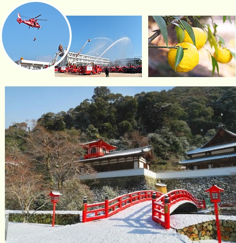 冬
