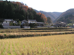 止々呂美の風景