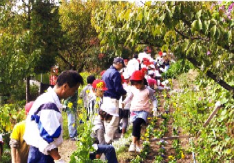 公園の自主管理の様子