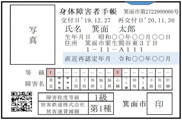 者 手帳 等級 障害