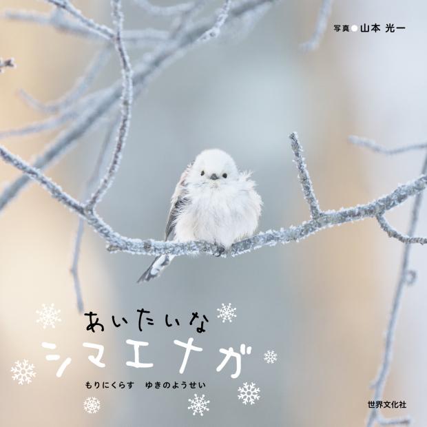 あいたいなシマエナガ