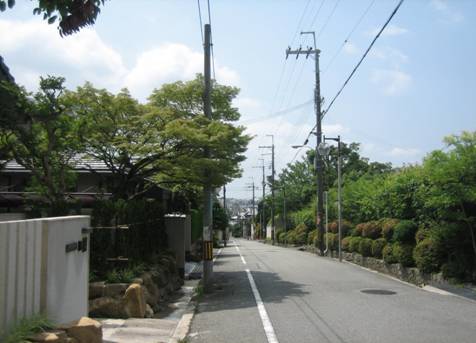 桜ヶ丘2丁目（紅葉橋筋南向き）