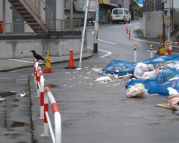 カラスによるごみの散乱