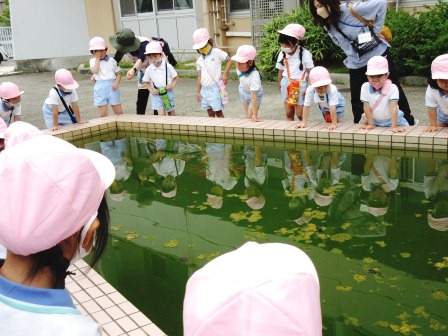 運動会見学1