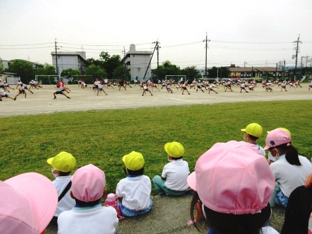 運動会見学4