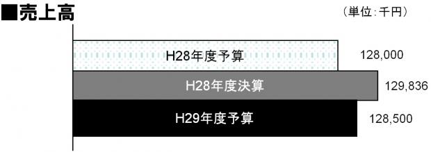 H28決算・H29予算売上高