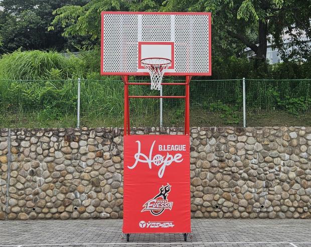 skybasketgoal_yoko2
