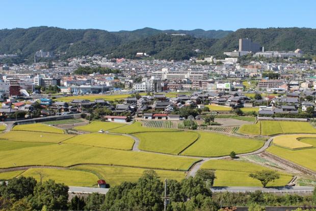 H26施政方針写真・田園風景