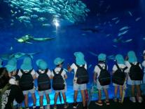  seaworld1