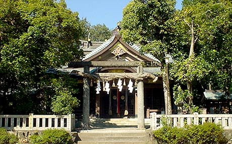 䑾_